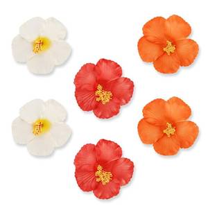 lot 2193 image: 6Pcs Hawaiian Flower Hair Clip for Women Plumeria Hibiscus Hair Clips 3.5 Artificial Flower Clips Barrettes, Hair Accessories for Vacation Beach Luau Party 03
