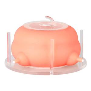 lot 2223 image: ZALBYUY Puppy Feeder for Multiple Puppies, Milk Feeder With Silicone Nursing Station of 4, Milk Replacer for PuppiesKittens - Retail $793