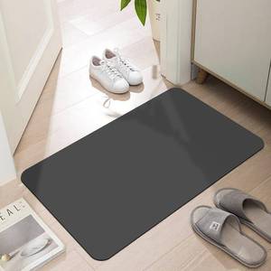 lot 2252 image: Ultra Thin Door Mat Indoor Entrance, 110 in Thin Door Mats for Inside Entry, Non-Slip Rubber Backing Washable Doormat, Fade Resistant, Absorbent, Low Profile Dirt Trapper, 24X16, Dark Grey - Retail $17