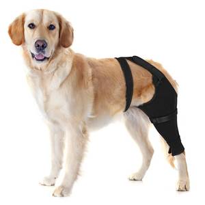 lot 12416 image: Joypig Dog Rear Leg Sleeve to Stop Licking, Surgical Sleeve for Recovery After TPLO, ACL, Wound Cover for Back Leg, Dog Cone Alternative for Surgery(Left,L,Black) - Retail $40