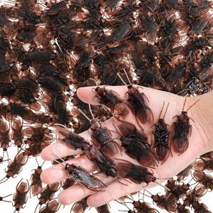 lot 6019 image: Jucoan 300 Pack Fake Roaches, Realistic Plastic Roach Bugs, Fake Prank Simulated Cockroaches Insect Gag Gift for Halloween Party Decor, April Fool�s Day Prank Tricks Joke - Retail $12