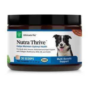 lot 20341 image: Ultimate Pet Nutrition Nutra Thrive Canine, 40-in-1 Nutritional Powder Supplement for Dogs with Digestion and Immune Support, Vitamins, Minerals, Probiotics, Enzymes, 30 Scoops - Retail $55