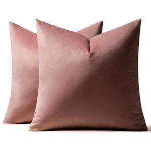 lot 16155 image: MIULEE Pack of 2 Decorative Velvet Pillow Covers Soft Square Throw Pillow Covers Solid Cushion Covers Jam Pillow Cases for Spring Sofa Bedroom Car 18x18 Inch 45x45 Cm - Retail $15