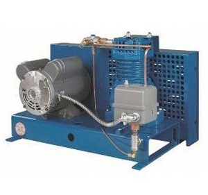 lot 33053 image: JENNY Fire Sprinkler Air Compressor, F12S-BS