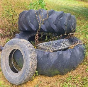 lot 56494 image: Used Heavy Equipment Tires Lot