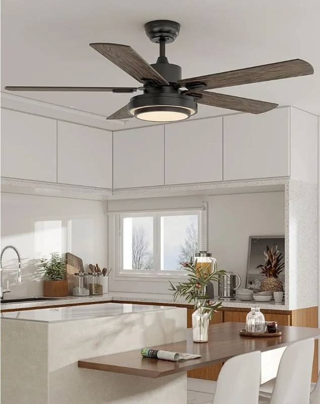 lot 41454 image: Ceiling Fan 52 Inch 5 Blades Remote Control, with Lights, 3 Color Dimmable Light, 6 Speeds, Noiseless, Reversible DC Motor, Timer, Black 1  Extra See Description For Details
