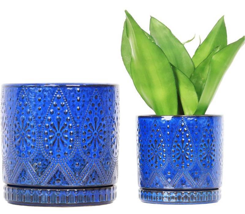 lot 50512 image: 8 Inch  6 Inch Indoor Plant Pot with Drainage Holes and Saucers, Ceramic Planter for Plants Succulent Orchid Flower Pots