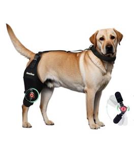 lot 31249 image: Adjustable Dog Knee Brace with Collar, Canine Knee Brace for Torn ACL Hind Leg, Osteoarthritis, Post-Operative Recovery, etc. (Right Leg, L)