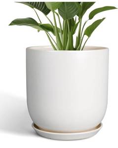 lot 20964 image: Plant Pot 12 inch - Ceramic Pot for Plants Indoor Outdoor Large Planter Pot with Drainage Hole and Saucer Mid-Century Modern Flower Pot Cylinder White