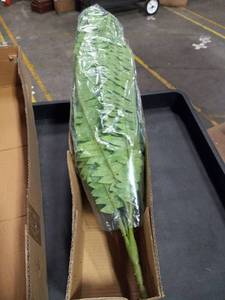 lot 60366 image: Dkaltm Single Silky Artificial Boston Fern Bush, 49 Inch, IndoorOutdoor