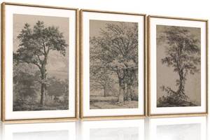 lot 60399 image: KAIRNE Vintage Tree Sketch Wall Art Set, Antique Tree, 16 in. X 24 in.  - Retail $124