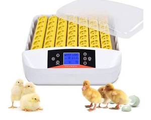 lot 60457 image: Egg Incubator , 56 Eggs Fully Automatic Egg Incubator with LED Lighting Automatic Turner and Intelligent Temperature Control,  for EggsDuck EggsBird EggsGoose Eggs Hatching