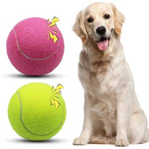 lot 2004 image: Magicorange Squeaky Tennis Ball Dog Toys 4 inch Oversize Giant Tennis Ball for Fetch Exercise, Natural Rubber Squeaky Dog Balls Training Safe (Multicolor, 2 Pack) - Retail $16