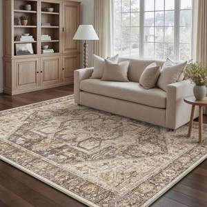 lot 6251 image: PureCozy Taupe Brown Area Rug 4x6 Vintage Office Washable Distressed Kitchen Carpet Non Slip Soft Indoor Traditional Medallion Retro Accent Throw Rug for Entryway Bedroom Dining Living Room - Retail $37