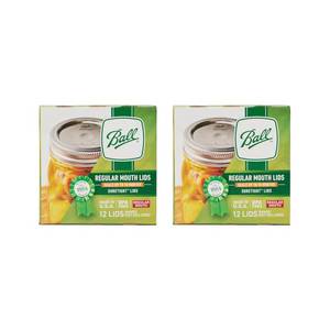 lot 6287 image: Ball Regular Mouth Mason Glass Jar Lids (24-Count), Silver - Retail $14