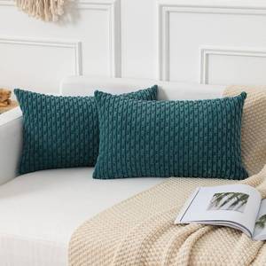 lot 6384 image: Kevin Textile Throw Pillow Covers Soft Corduroy Decorative Set of 2 Boho Striped Pillow Covers Pillowcases Farmhouse Home Decor for Couch Bed Sofa Living Room 12x20 Inch Teal Blue - Retail $14
