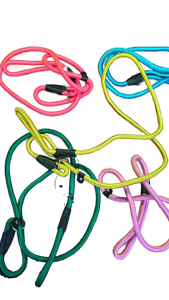 lot 9037 image: 5pk Neon Pet Leashes&nbsp