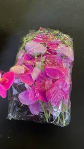 lot 15759 image: Lardux Pink Phalaenopsis Orchids with Original Box - Retail $35