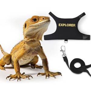 lot 16018 image: Bearded Dragon Leash and Harness Adjustable - Escape Proof Soft Leather Reptile Lizard Leash Harness with 5 ft Short Leash for Walking Outdoor - Retail $7