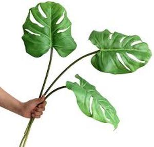 lot 6323 image: Bulk Artificial Monstera Leaves - Retail $15