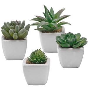 lot 3564 image: MyGift Miniature Assorted Artificial Green Faux Succulent Plants Potted in Square White Ceramic Planter Pots, Set of 4 - Retail $1,359