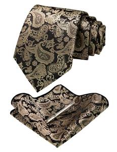 lot 12388 image: JEMYGINS Mens Champagne Black Paisley Necktie and Pocket Square with Tie Clip Sets (champagne black) - Retail $10