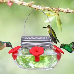 lot 16166 image: Glass Hummingbird Feeders for Outdoors Hanging, Cute Mason Jar Shape with 4 Silicone Flower Feeding Ports, Top Fill Leak Proof Easy to Clean and Refill, Humming Bird Feeder for Outside Garden - Retail $13