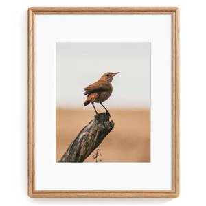 lot 1646 image: 11X14 Picture Frame, Natural Solid Oak Wood Picture Frame with High Tempered Glass, Handcrafted Rounded Corner 11 by 14 Wooden Frame Matted to 8x10 Photo for Horizontal or Vertical Wall Mounting - Retail $28