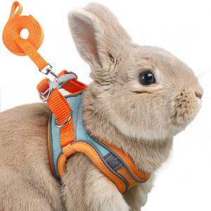 lot 2353 image: Adjustable Bunny Harness and Leash Set Double Buckle with Reflective Strips Rabbit Vest Pets Stuff Suitable for Rabbit Walks Accessories (Orange Green, S) - Retail $13