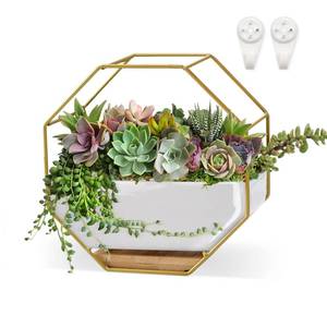 lot 5350 image: ChiRee Succulent Planters 7�3.5 Inch Decorative Ceramic Flower Plant Pots with Metal Holder Hanging and Place Dual-Purpose Garden Planter Pot with Drainage and Saucer for Indoor Home Office Desktop - Retail $19