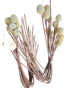 lot 20179 image: Fake Dried Pom Pom Stems Bundle - Retail $15