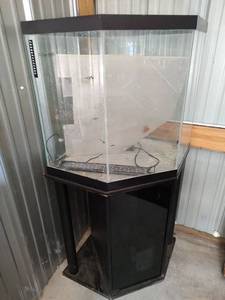 lot 441 image: Corner Aquarium with Stand and Filter