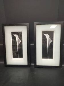 lot 568 image: Black and White Calla Lily Photography Set, 9 12 x 15 12