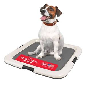 lot 65475 image: IRIS USA Pee Pad Holder - For Potty Training Regular Sized Dog & Puppy Pee Pads, Secured Latches, Non-Skid Feet, Leak Protection, Fits 22x22 Pad or Larger, Square, Dark Gray