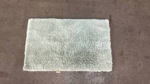 lot 4921 image: Washable Bathroom Carpet 2.6Ft x 4Ft. - Retail $20