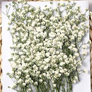 lot 20043 image: Coume 50 Pcs Mini Dried Babys Breath Flowers Pressed Babys Breath Ivory White Dried Flowers Bulk Natural Gypsophila for Wedding Invitation Bridal Scrapbook Bookmark DIY Art Crafts Card Resin Candle - Retail $9