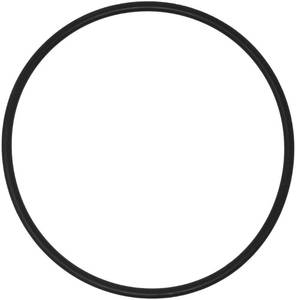 lot 20047 image: Lid O-Ring Compatible with Hayward CLX200K for Hayward Chlorine Feeders CL200, CL220 and CL220BR (1-Pack) - Retail $10