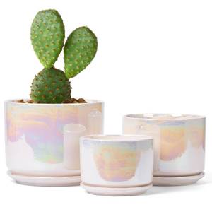 lot 17618 image: EFISPSS Plant Pots, 456 Inch Pots for Indoor Plants,Ceramic Planter Pot with Drainage Hole,Flower Pots for Succulent Cactus,Set of 3 - Rainbow Pearl Glaze - Retail $21