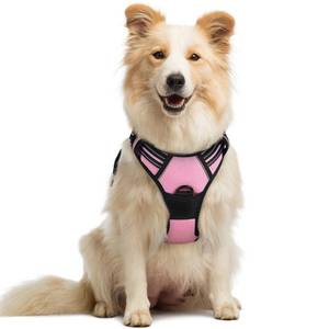 lot 18056 image: rabbitgoo Dog Harness No Pull with 2 Leash Clips, Adjustable Soft Padded, Reflective Oxford No Choke Pet Vest with Easy Control Handle for Medium Sized Dogs, Pink, M - Retail $24