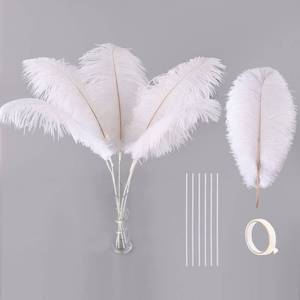 lot 18476 image: Ballinger White Ostrich Feathers Bulk - Making Kit 10Pcs 28 inch Large Boho Feathers for Vase, Floral Arrangement, Wedding Party Centerpieces and Christmas Home Decorations - Retail $21