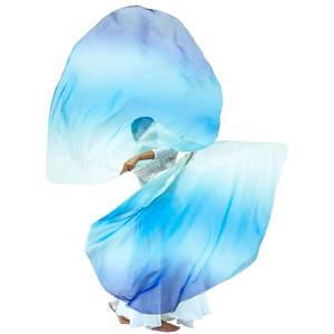 lot 10463 image: Wuchieal 55 Pack of 2 pcs Worship flags,Color Guard Flag,banderas de danza cristiana,Praise Dance Flags for Worship Dance -6#WHITE-BLUE-NAVY - Retail $23in