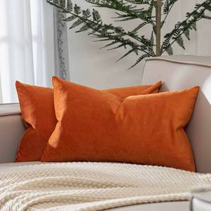 lot 12008 image: JUSPURBET Burnt Orange 16x24 inch Pillow Cover Set of 2 Soft Decorative Lumbar Velvet Throw Pillow Cases for Couch Bed Sofa Zippered Closure Luxurious Velvet Fabric Machine Washable Home Decor - Retail $17