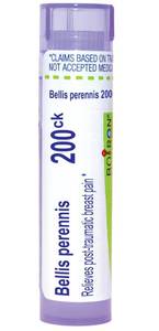 lot 6177 image: Bellis Perennis 200CK - Retail $9