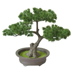 lot 2134 image: Artificial Bonsai Trees,11.8x9.8inch Artificial Greenery Bonsai Trees,Japanese Juniper Bonsai Tree, No Odor,Desktop Decor Display,for Indoor,Home,Office - Retail $16