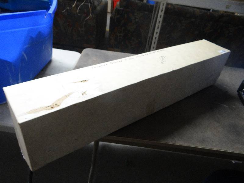 lot 4293 image: Thunder quicky T tail 40 size pylon racrt RC.
