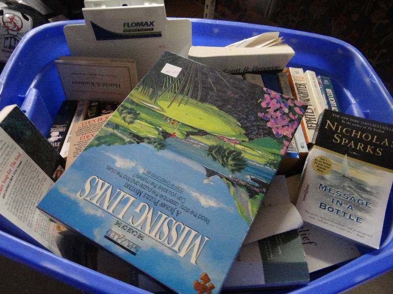 lot 4300 image: Large lot of books.