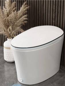 lot 10768 image: DeerValley Smart Bidet Toilet Quiet-Closed Heated Seat Sensor Auto, Foot Kick & Blackout Flush, Warm Wash, Night Light, DV-1S0019-V3 - Retail - $1099.99