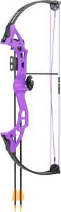lot 10775 image: Bear Archery Brave Bow Set for Youth, Right Hand, Purple - Retail - $68.30