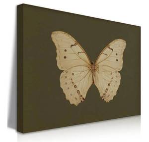 lot 22978 image: Vintage Butterfly Canvas Wall Art - Green, White, Beautiful Butterfly Wall Decor - Cottagecore, Retro Moth Painting - Ready to Hang (16x24 inch)