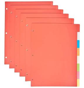 lot 22979 image: Amazon Basics 8-Tab Plastic Binder Divider with Multicolor Tab Label for 3 Ring Binder, Letter Size,